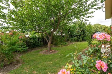 Photo of property in 1 Argosy Place, Blenheim, 7201