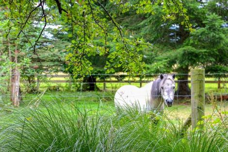 Photo of property in 12 Burgess Road, Staveley, Ashburton, 7771