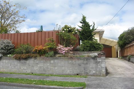 Photo of property in 4 Barclay Street, Ferndale, New Plymouth, 4310