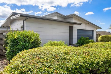 Photo of property in 8 Canmore Street, Pokeno, 2402