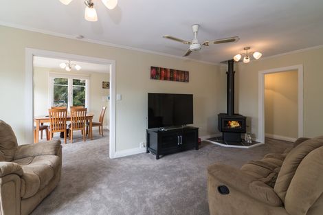 Photo of property in 13 Nikau Street, Springfield, Rotorua, 3015