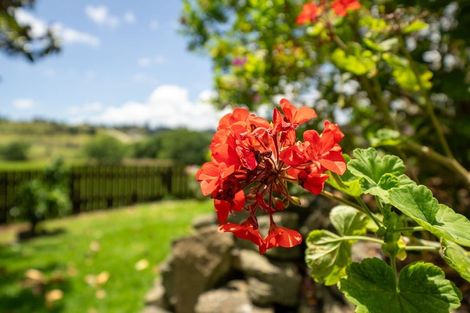 Photo of property in 56b King Street, Hikurangi, 0114