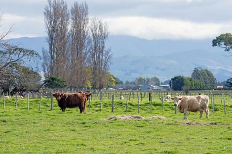 Photo of property in 172 Manaia Road, Homebush, Masterton, 5885