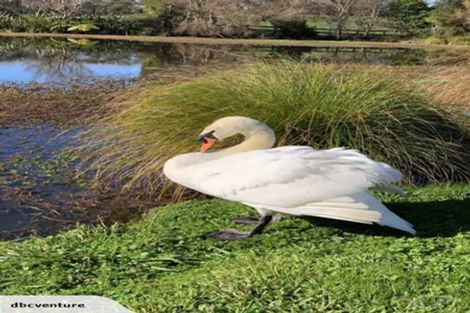 Photo of property in 348 Matua Road, Kumeu, 0891