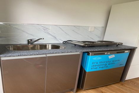 Photo of property in 58 Gladstone Road, Northcote, Auckland, 0627