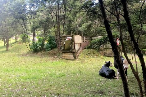 Photo of property in 317 Sawyer Road, Mangonui, 0494