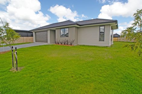 Photo of property in 7 Loftus Place, Flagstaff, Hamilton, 3210