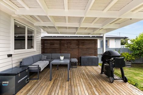 Photo of property in 809 Freyberg Street, Raureka, Hastings, 4120