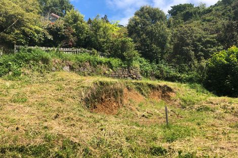 Photo of property in 24 Coombe Hay Terrace, Careys Bay, Port Chalmers, 9023