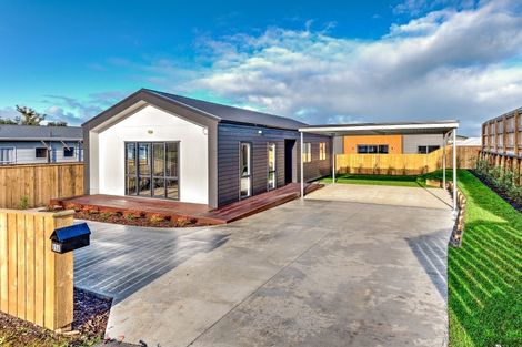 Photo of property in 99 Devon Road, Springvale, Wanganui, 4501