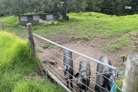 Photo of property in 492 Wairere Road, Paparoa, 0571