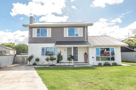 Photo of property in 106 Somerset Road, Springvale, Whanganui, 4501