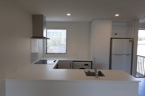 Photo of property in 118 Salisbury Street, Ashhurst, 4810