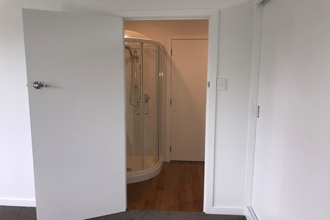 Photo of property in 117 Doon Street, Waverley, Dunedin, 9013