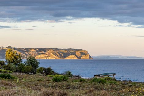 Photo of property in 238 Whirinaki Road, Eskdale, Napier, 4182