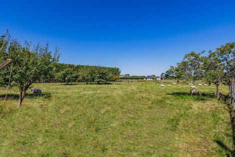Photo of property in 14 Wingate Road, Opaki, Masterton, 5871