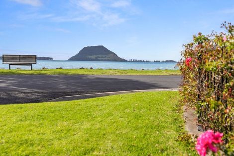 Photo of property in 3a Seaway Terrace, Otumoetai, Tauranga, 3110