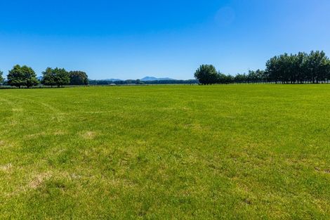 Photo of property in 233 Waipopo Road, Seadown, Timaru, 7973