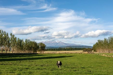 Photo of property in 329 Raetihi Ohakune Road, Raetihi, 4691