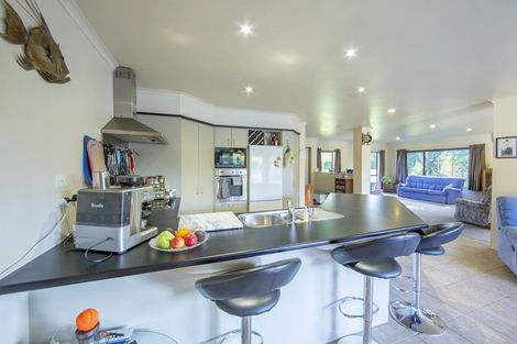 Photo of property in 758 Kaiwaka-mangawhai Road, Hakaru, Wellsford, 0975