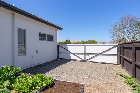 Photo of property in 56 Purkiss Street, Springlands, Blenheim, 7201