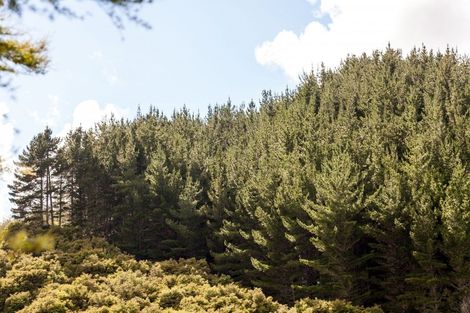 Photo of property in 195 Kapowai Road, Whenuakite, Whitianga, 3591