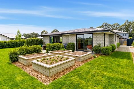 Photo of property in 2 Hepburn Place, Rolleston, 7614