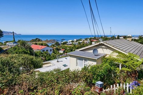 Photo of property in 17 Oku Street, Island Bay, Wellington, 6023
