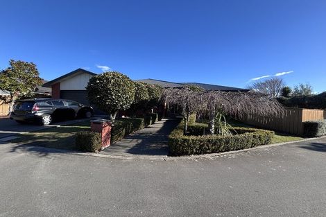 Photo of property in 40 Colligan Street, Upper Riccarton, Christchurch, 8041