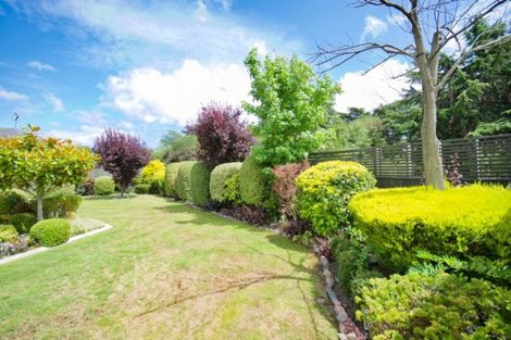 Photo of property in 36 Cashmere Grove, Witherlea, Blenheim, 7201