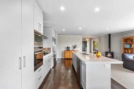 Photo of property in 121 Leyland Road, Whakamarama, Tauranga, 3179