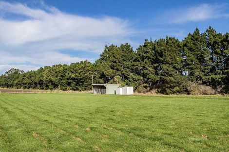 Photo of property in 49 Webbs Road, Amberley, 7481