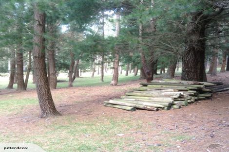 Photo of property in 524 Hayland Road, Okuku, 7473