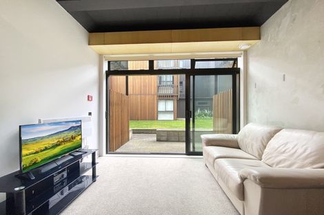 Photo of property in Vedado Apartments, 208/41 Hopper Street, Mount Cook, Wellington, 6011