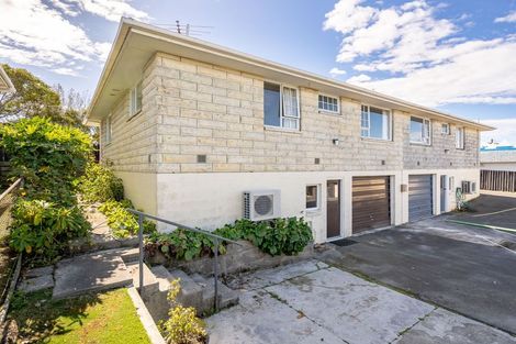 Photo of property in 161b Eglinton Road, Mornington, Dunedin, 9011