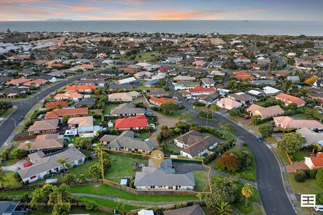 Photo of property in 43 Jasmine Place, Mount Maunganui, 3116