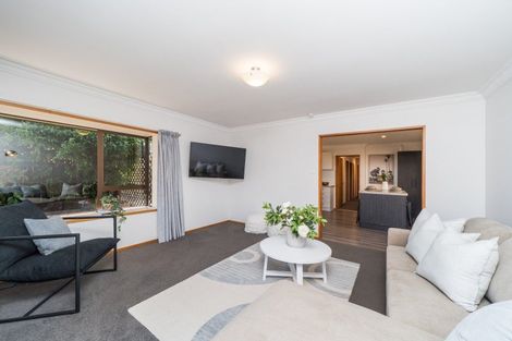 Photo of property in 3 Silverdale Court, Terrace End, Palmerston North, 4410