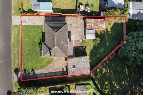 Photo of property in 31 Kennelly Crescent, Pukekohe, 2120