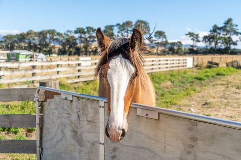Photo of property in 445 Paierau Road, Opaki, Masterton, 5881