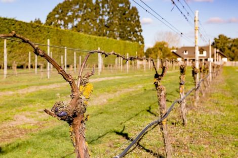 Photo of property in 300 Jowers Road, West Melton, Christchurch, 7676