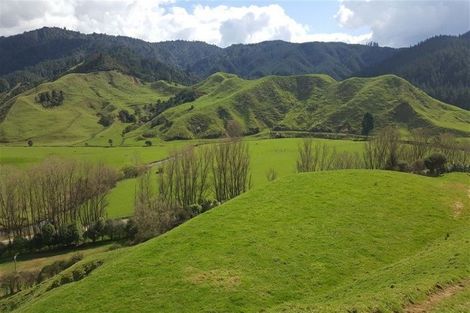 Photo of property in 287 Wentworth Valley Road, Whangamata, 3691
