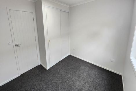 Photo of property in 14 Brecon Road, Stratford, 4332