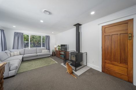 Photo of property in 17 Lionel Street, Avonside, Christchurch, 8061