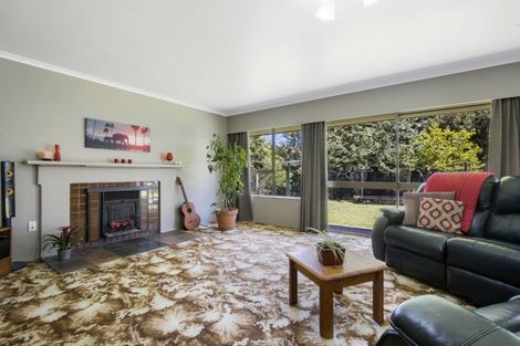 Photo of property in 41 Walmsley Road, Waihi, 3610