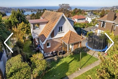 Photo of property in 17 Leven Street, Roslyn, Dunedin, 9010