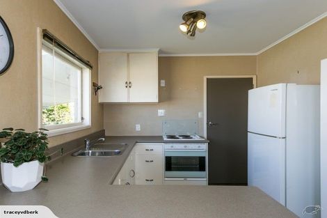 Photo of property in 17 Rochester Street, Tamatea, Napier, 4112