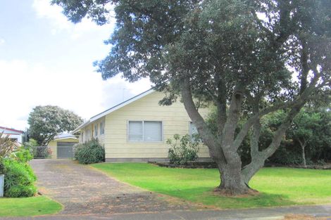 Photo of property in 103 Aberdeen Place, Whangamata, 3620