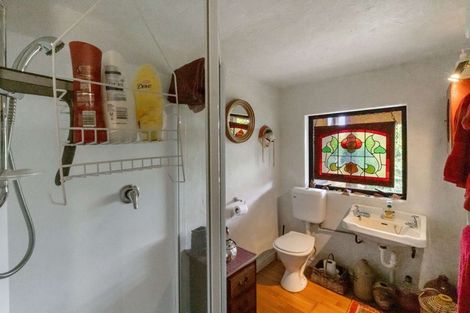 Photo of property in 800 Buffalo Road, Coromandel, 3506