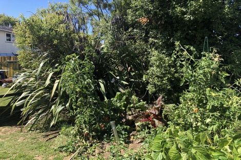 Photo of property in 14 Tureiti Place, Turangi, 3334