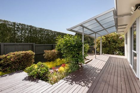 Photo of property in 9a Marshall Avenue, Greerton, Tauranga, 3112